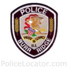 Burr Ridge Police Department Patch